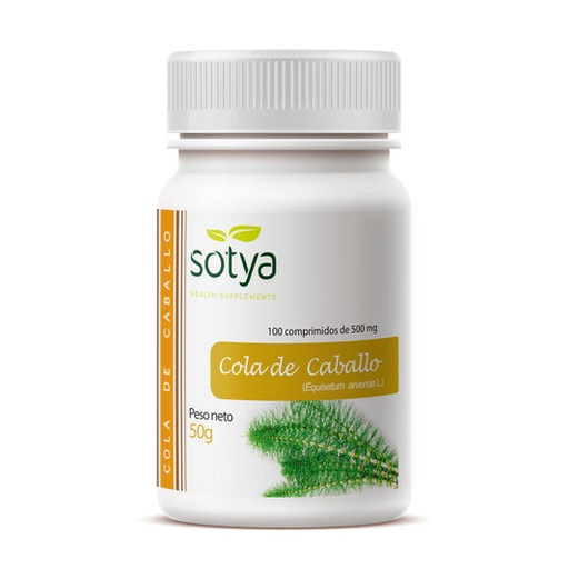 [8427483000228] COLA DE CABALLO 500MG COMP. 100U