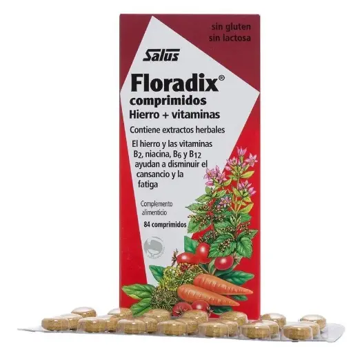 [4004148059018] Hierro y Extractos Herbales con Vitamina B2, B3, B6 y B12 - Floradix - 84 Comps.